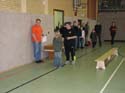 Hallenturnier 12.01.08 (172)