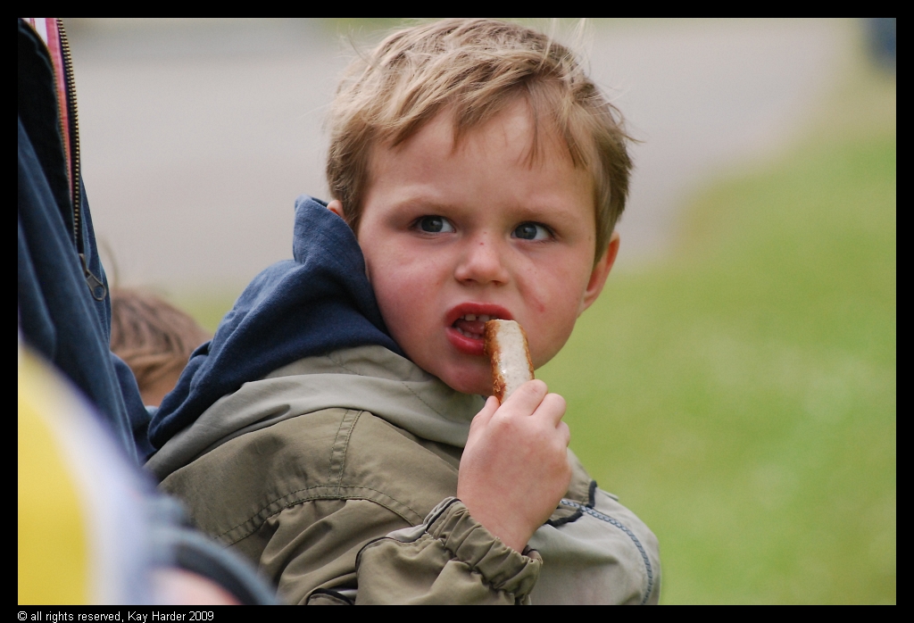 DSC_5585.JPG - Hunger