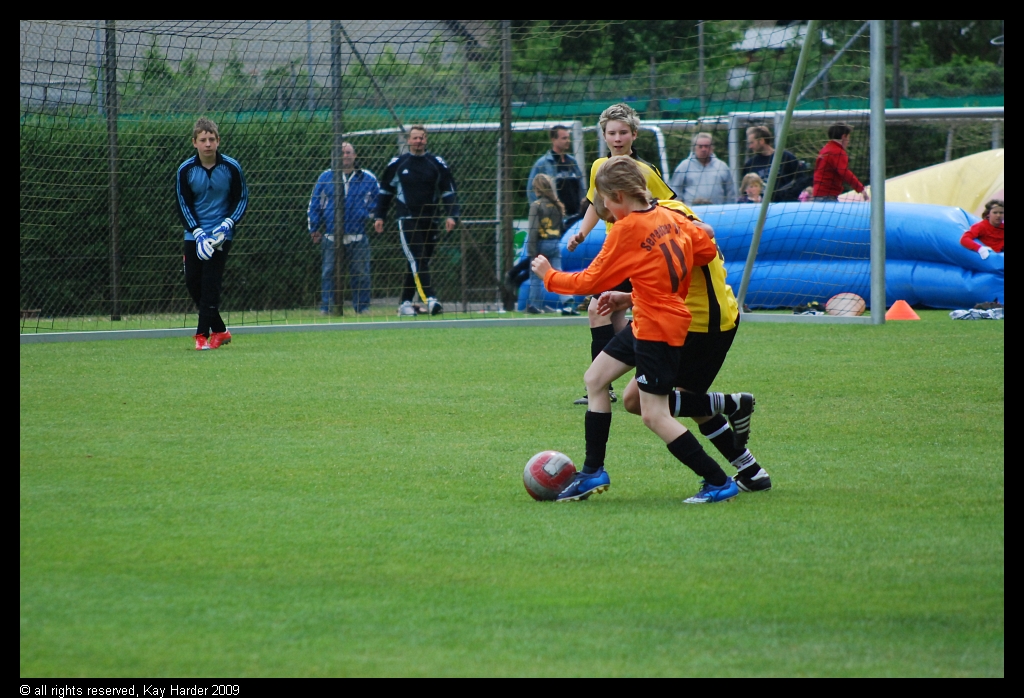 DSC_5596.JPG - (c) Kay Harder