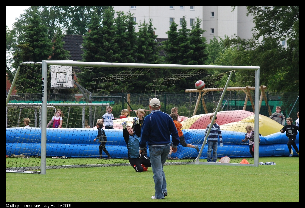 DSC_5629.JPG - .....