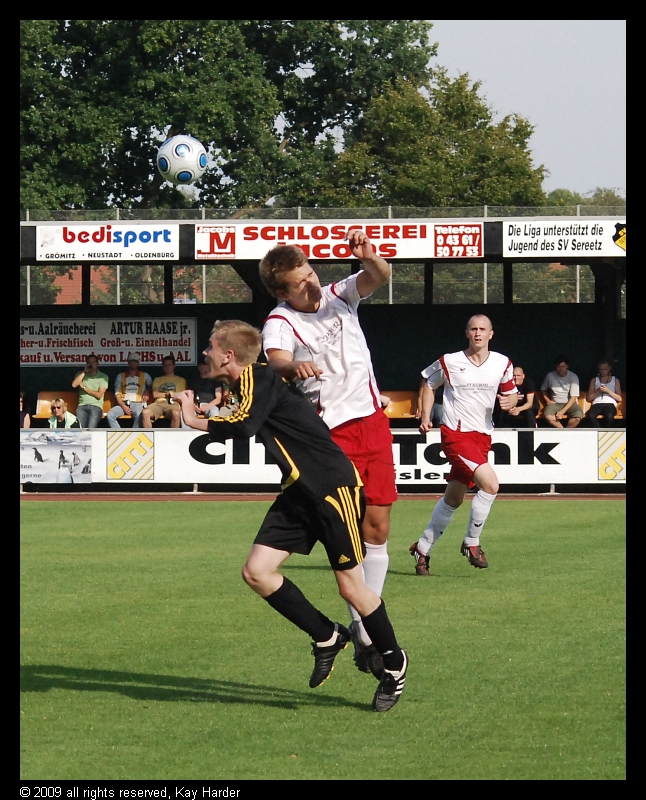 DSC_6998a.jpg - Aufgestützt.