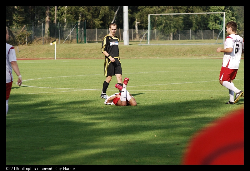 DSC_7012.JPG - Aua? Nein! Keine Sorge, 2 Minuten später rannte er schon wieder.