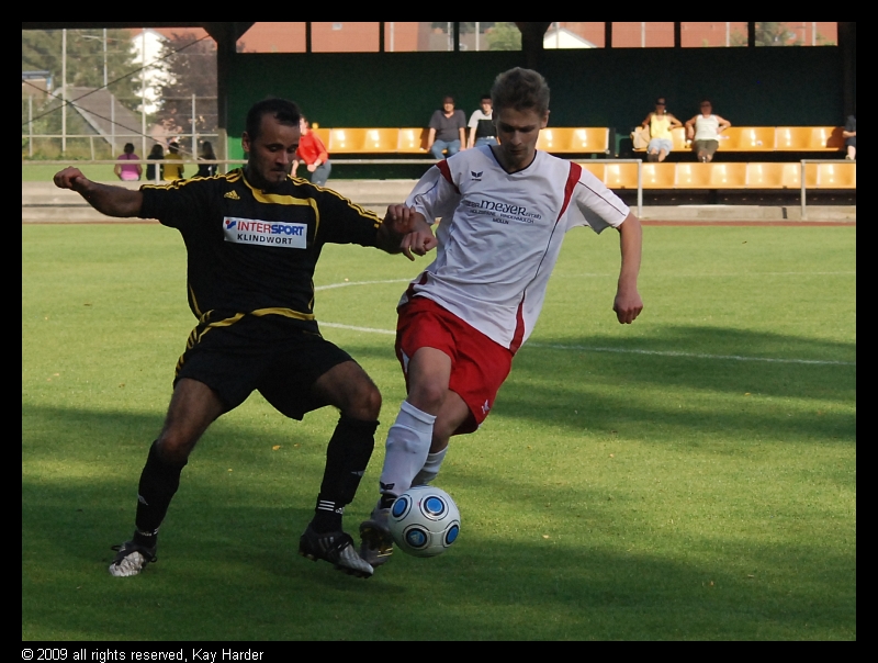 DSC_7039a.jpg - .....