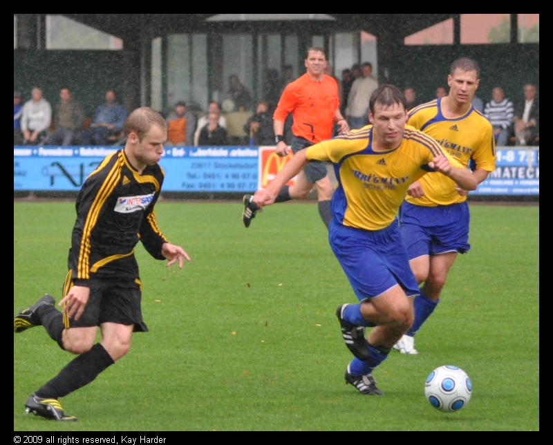 DSC_2774.JPG