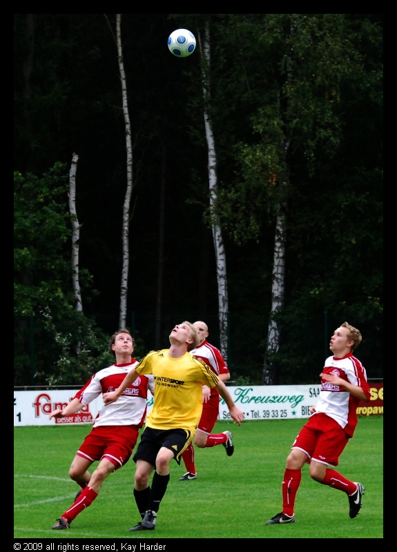 DSC_7724.JPG - Wo ist der Ball?