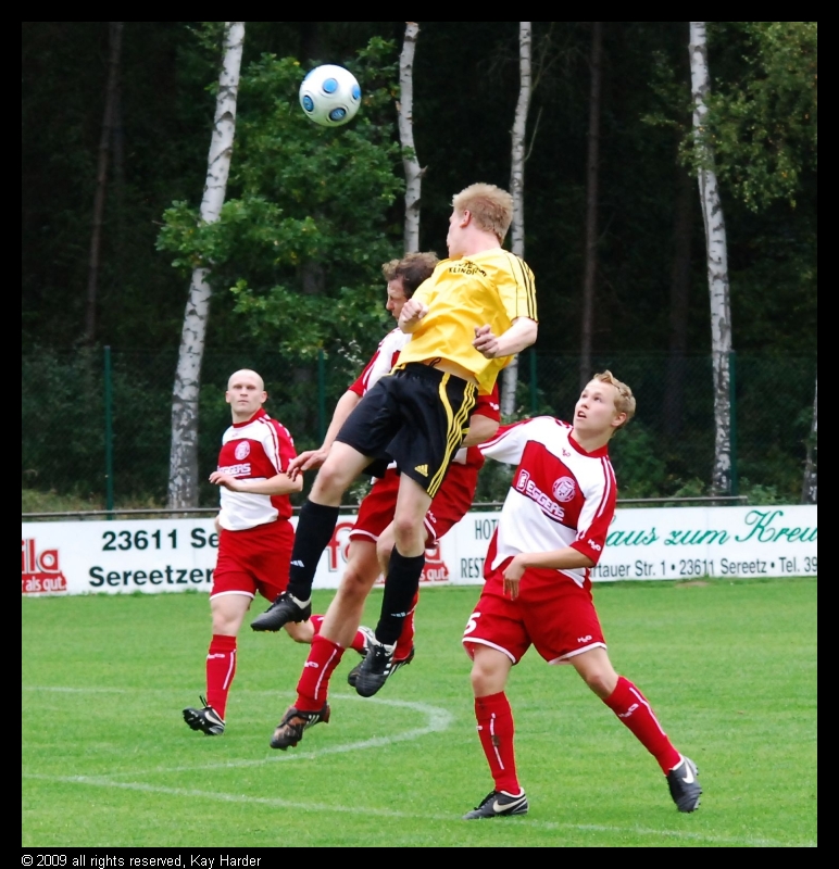 DSC_7725.JPG - Eindeutiger Beherrscher des Luftaumes über Sereetz. Florian Ramm!