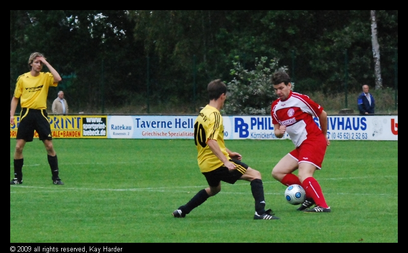 DSC_7847.JPG - Wie macht er das?