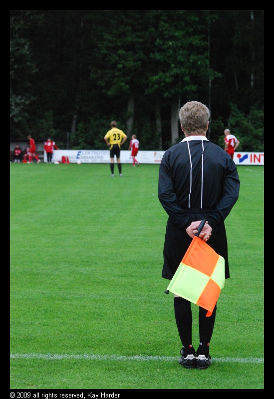DSC_7856.JPG - Hübsch, wie er da so steht. So adrett!