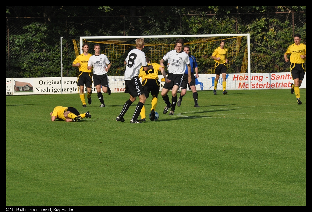 DSC_3455.JPG - und liegengelassen.