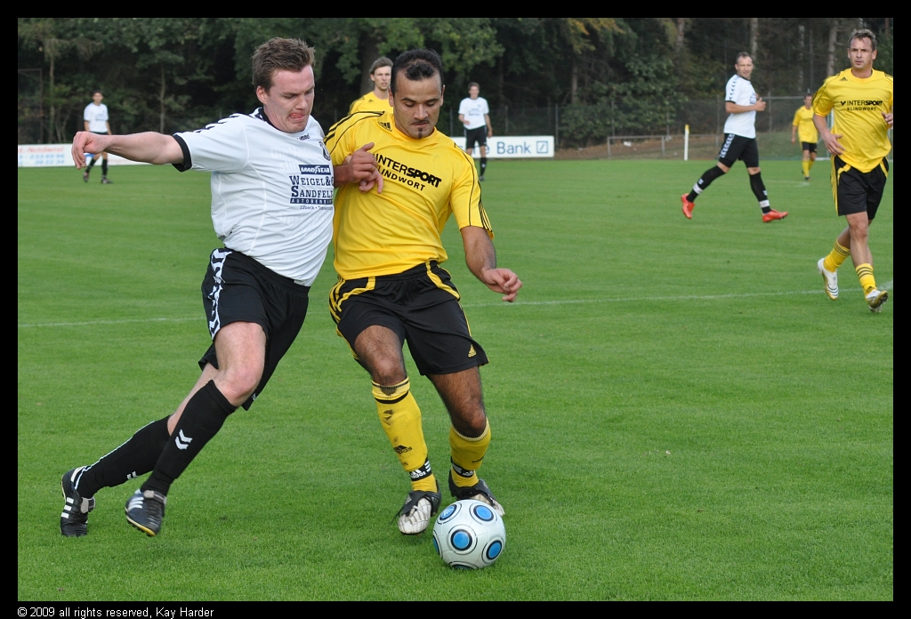 DSC_3470.JPG - Aneinendergelehnt.