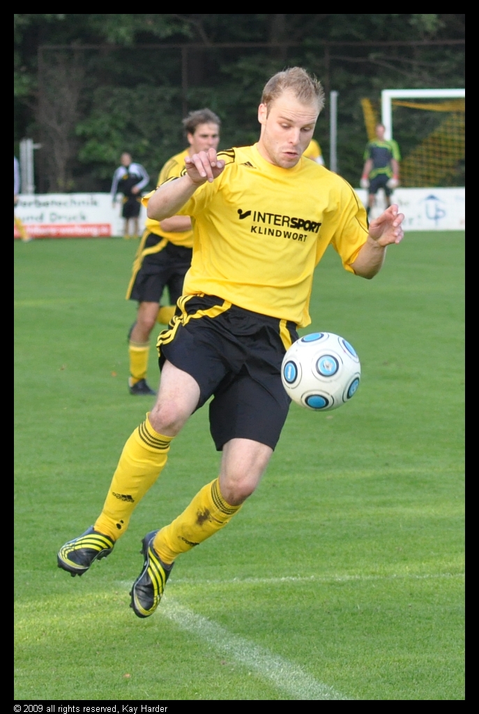DSC_3559.JPG - Volle Konzentration -1-