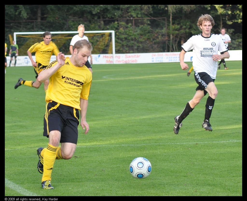 DSC_3561.JPG - Volle Konzentration -3-
