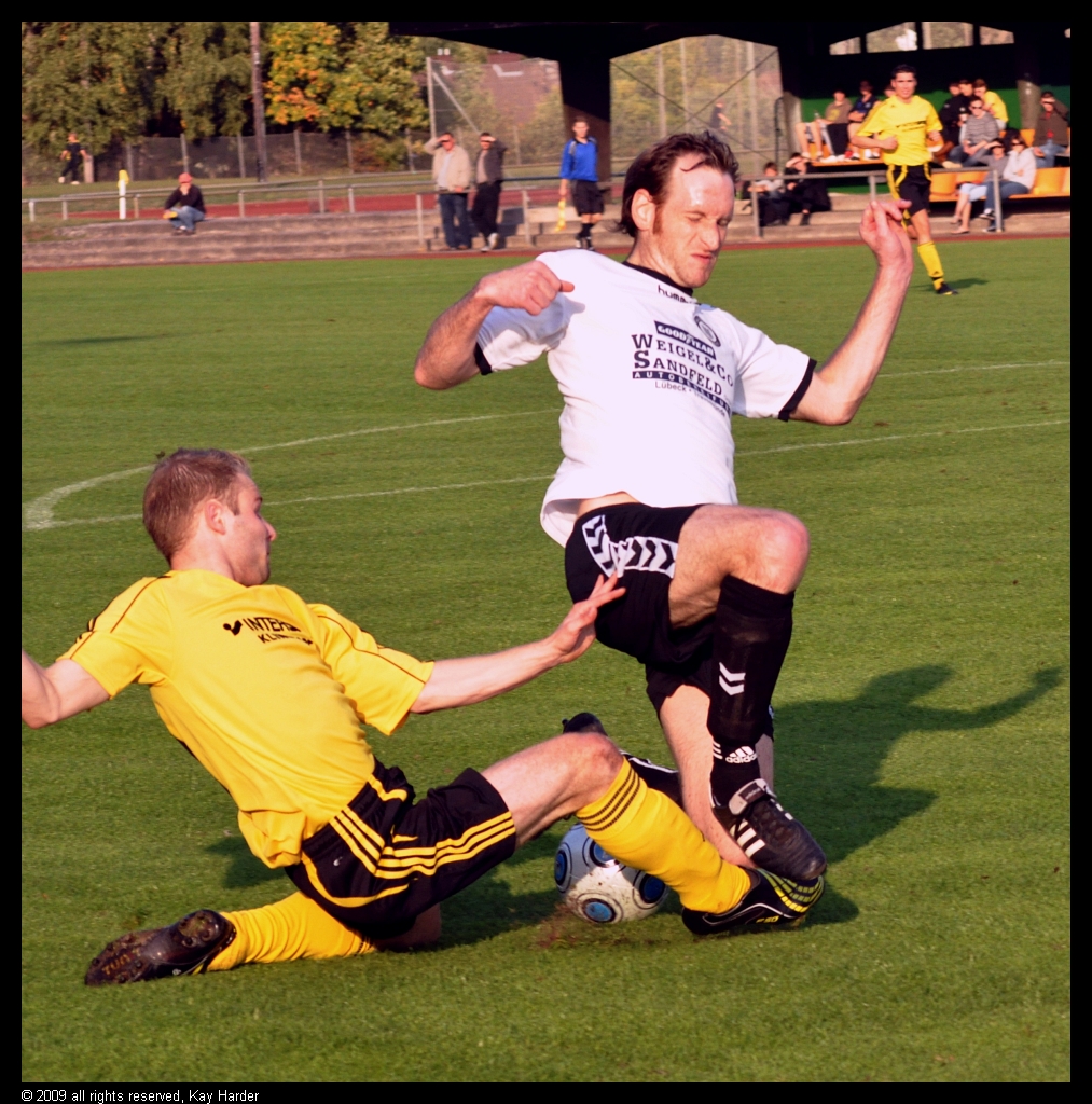 DSC_3563.JPG - Volle Konzentration -4-