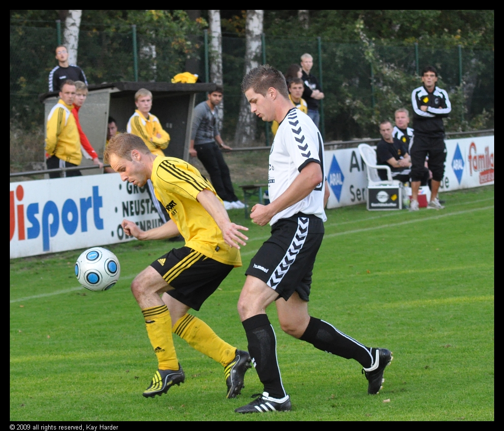 DSC_3610.JPG - Die nun wieder...