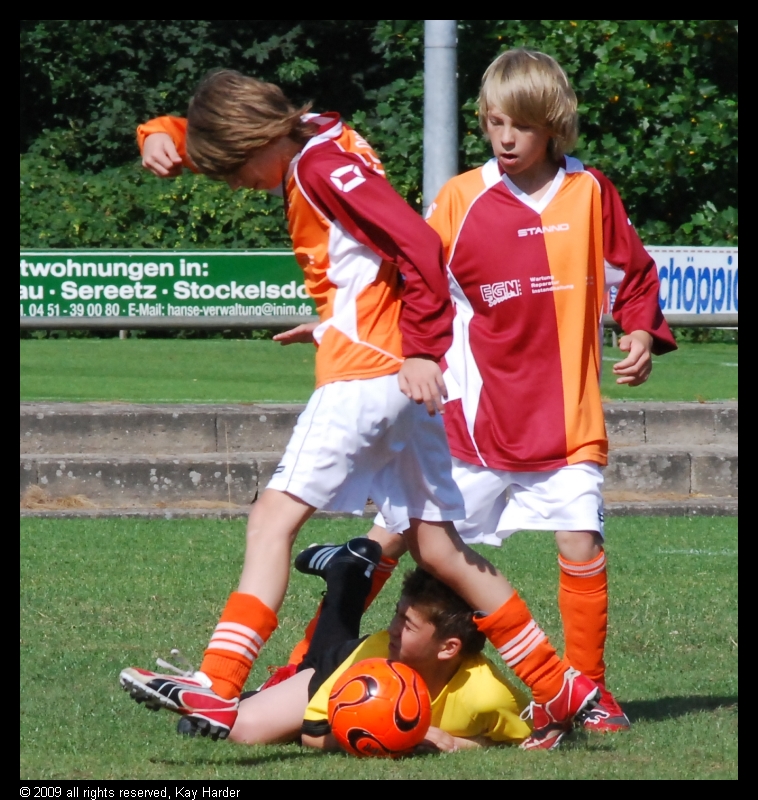 DSC_7561.JPG - (c) Kay Harder