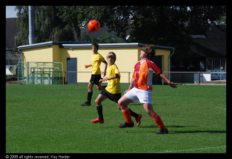 DSC_7573.JPG - (c) Kay Harder