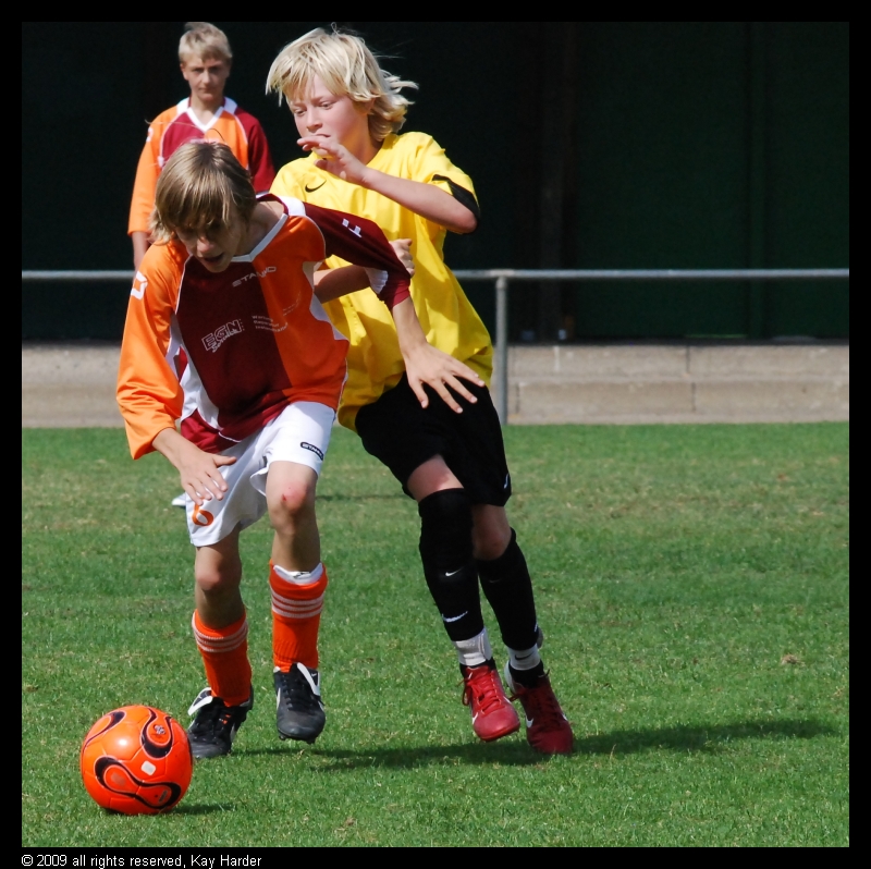 DSC_7592.JPG - (c) Kay Harder