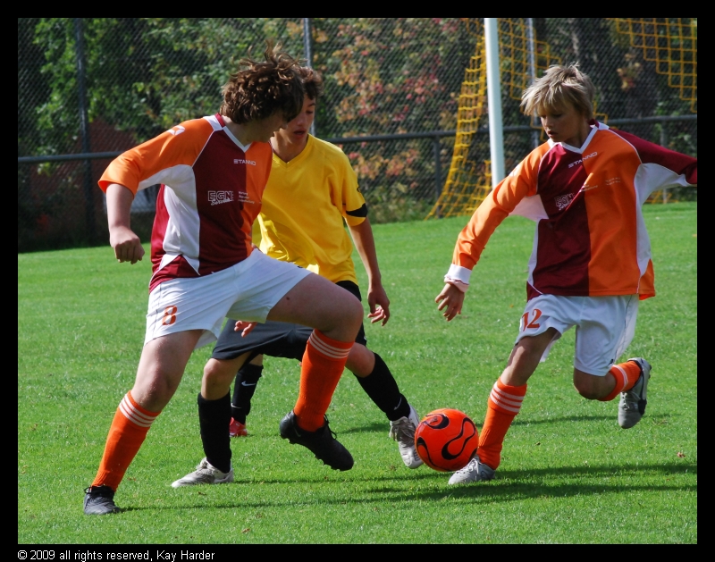 DSC_7608.JPG - (c) Kay Harder