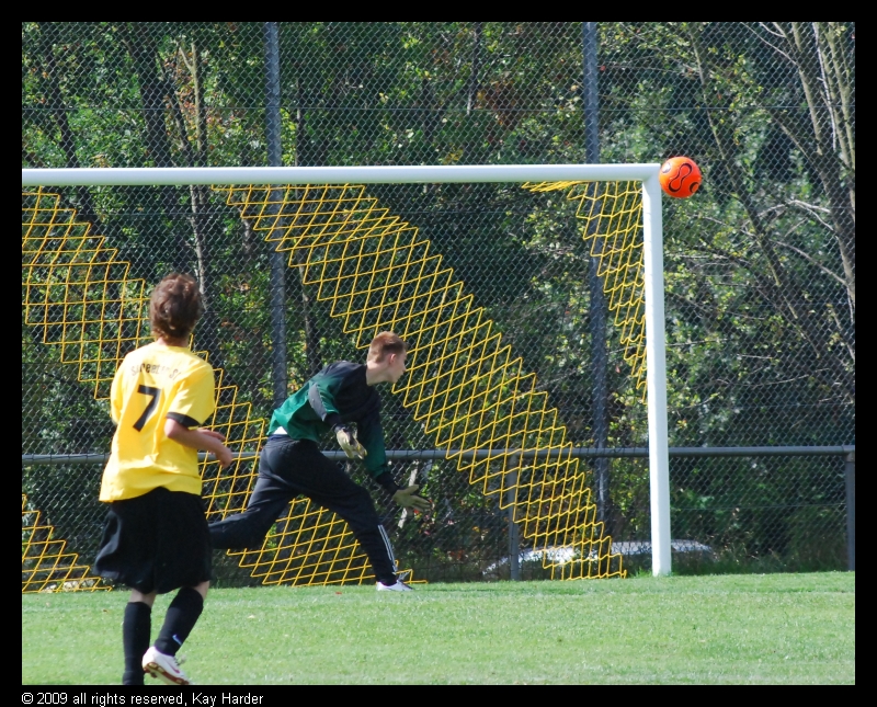 DSC_7613.JPG - (c) Kay Harder