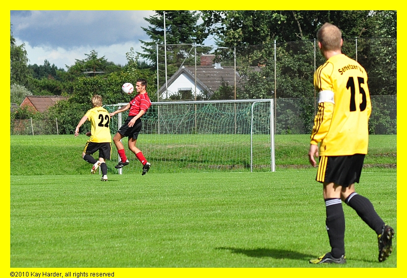 DSC_5964.JPG - Brust.