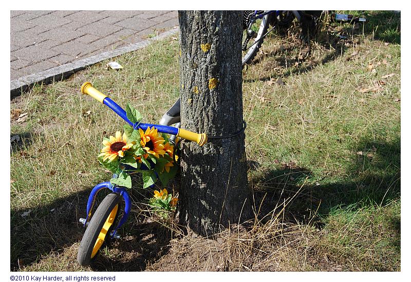 DSC_2009.JPG - (c) Kay Harder